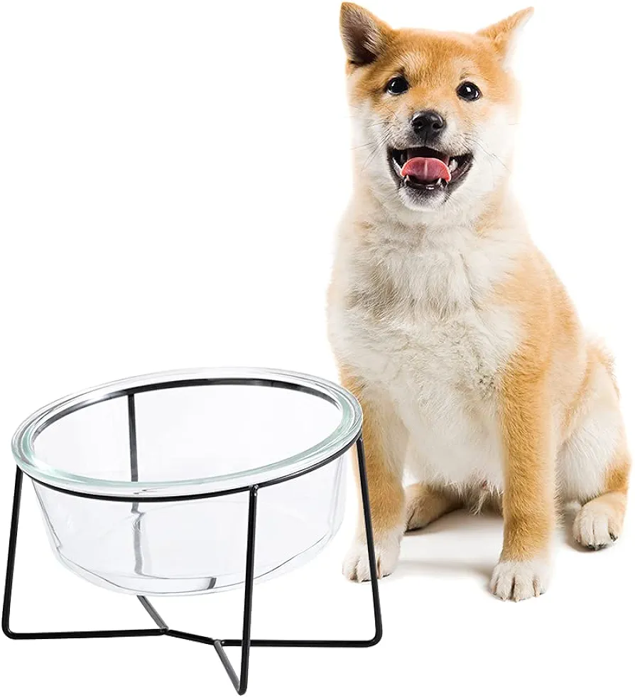 Comedero Perro Elevado con Soporte - Comedero Gato Cristal para Agua y Comida - Comederos y Bebederos para Perros Mediano | Gatos Grande - 850ml