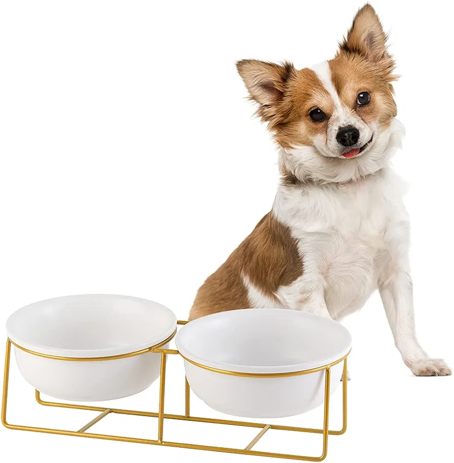 Comedero Gato Ceramica Elevado Inclinado - Cuenco Gato Antivomito con Soporte de Metal - Bebedero y Comedero Perro Pequeño - Doble Plato Perros - Bol Comida y Agua para Cachorros y Gatos - 2 x 480 ml